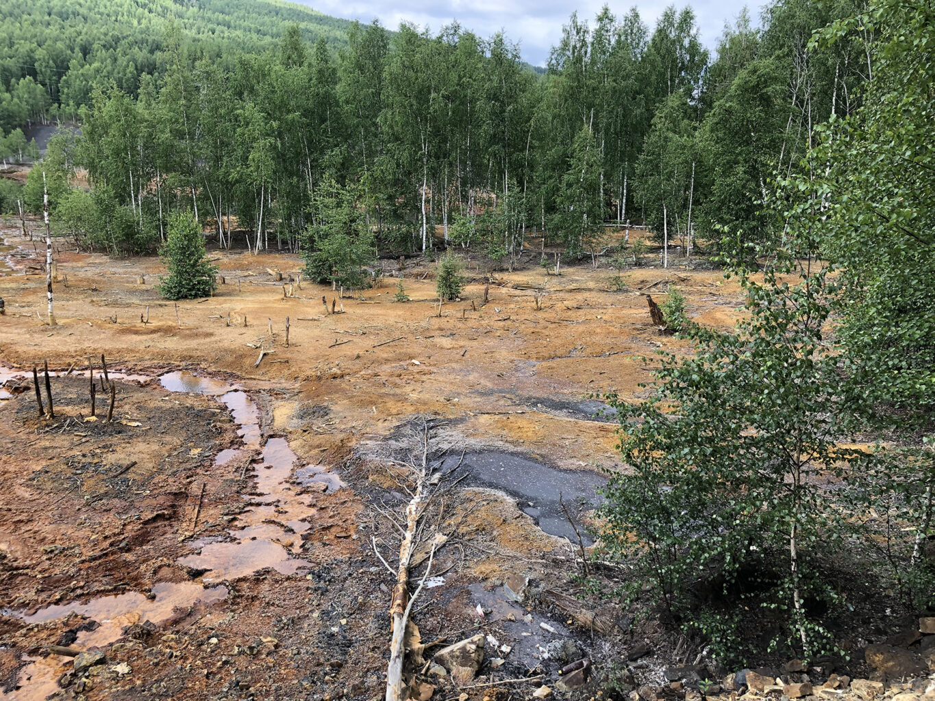 Влияние изливов из шахт Кизелбасса на экологию